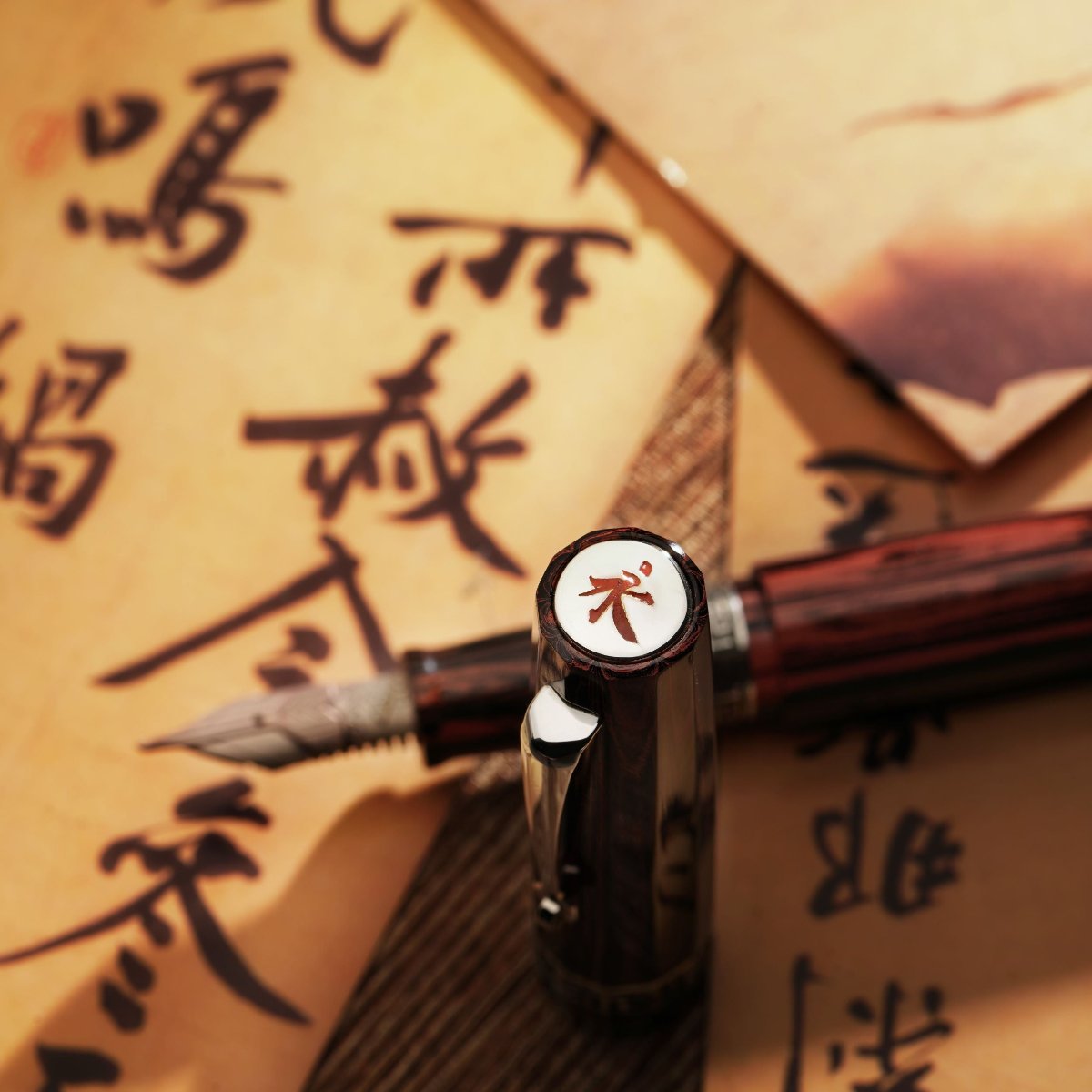 Omas Paragon Fountain Pen - Calligrafia (Limited Edition) - Pen Boutique Ltd