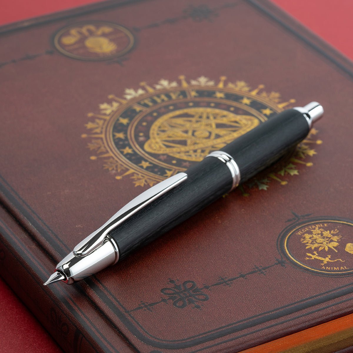 Pilot Vanishing Point Fountain Pen - Birchwood Black - Pen Boutique Ltd
