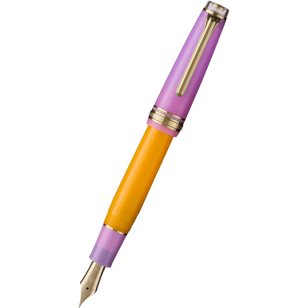 Sailor Professional Gear Standard Fountain Pen - Acai Berry Smoothie (Limited Edition) - Pen Boutique Ltd