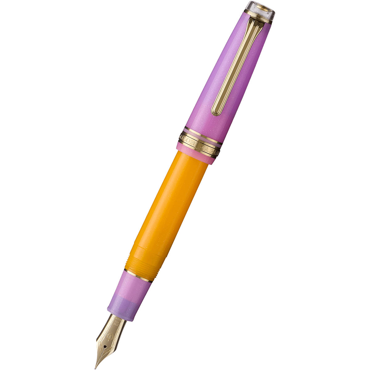Sailor Professional Gear Standard Fountain Pen - Acai Berry Smoothie (Limited Edition) - Pen Boutique Ltd