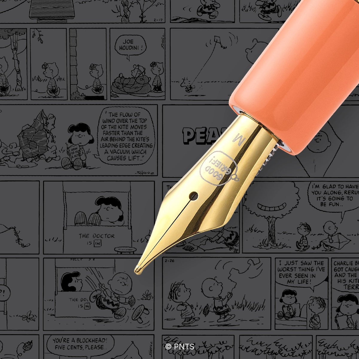 Esterbrook x Peanuts Estie Fountain Pen - FRIENDS Sally (75th Anniversary) - Pen Boutique Ltd