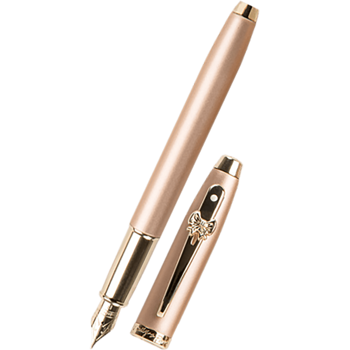 Sheaffer x Emily in Paris 100 Fountain Pen - Champagne Gold - Pen Boutique Ltd