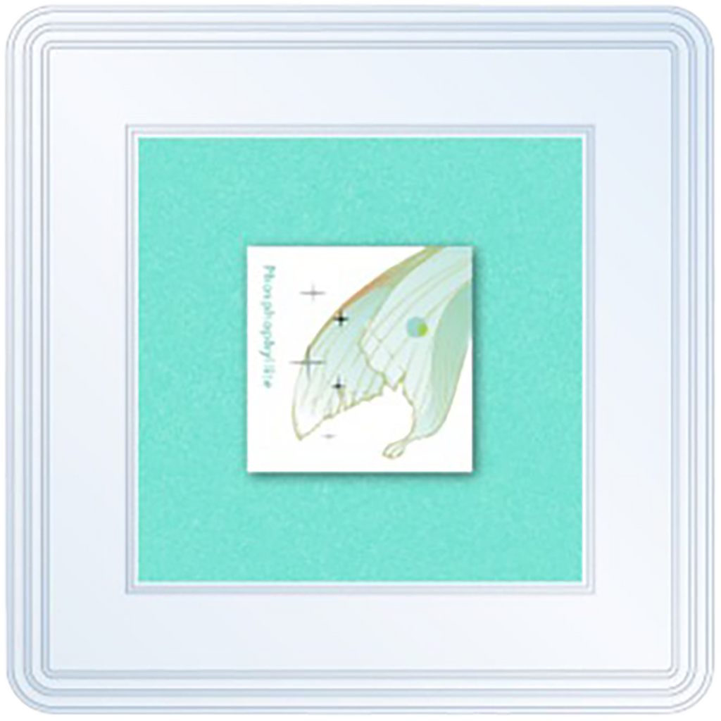 Tono & Lims - Stamp Pad Earth Contact - Phosphophyllite-Pen Boutique Ltd