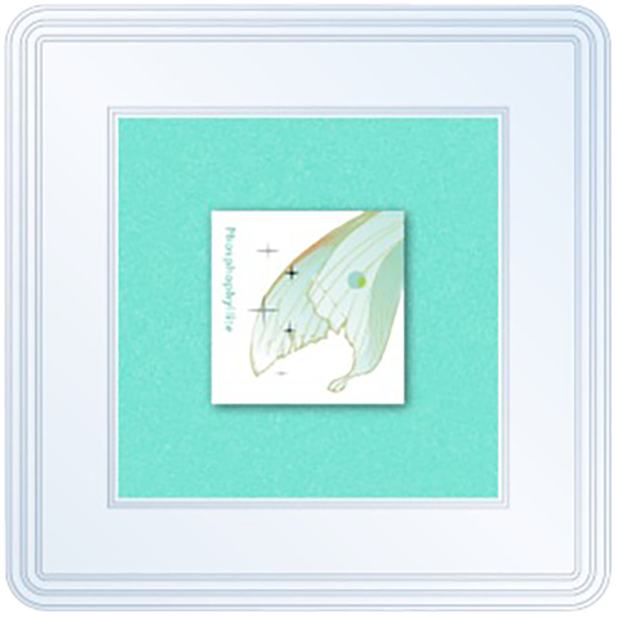 Tono & Lims - Stamp Pad Earth Contact - Phosphophyllite-Pen Boutique Ltd