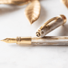 Visconti Comedia Fountain Pen - Virgilio (Limited Edition) - Pen Boutique Ltd