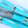 Visconti Divina Fountain Pen - Elegance Wave - Pen Boutique Ltd