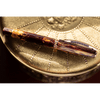 Visconti Medici Fountain Pen - Palazzo Pitti (Limited Edition) - Pen Boutique Ltd
