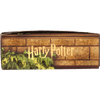 Ferris Wheel Press x WB Carousel Writing Set - Harry Potter Houses of Hogwarts: Hufflepuff - 2541 - Pen Boutique Ltd