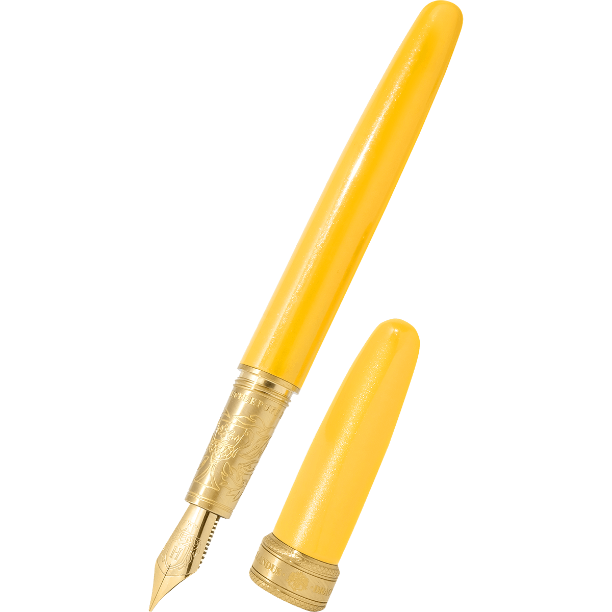 Ferris Wheel Press x WB Joule Fountain Pen - Harry Potter Hufflepuff - Pen Boutique Ltd