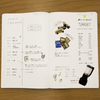 Stalogy Editors Choice Series 1/2 Year Notebook - A5 - Pen Boutique Ltd