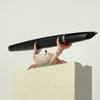 Diplomat Viper Fountain Pen - Black - Pen Boutique Ltd