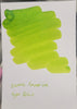 Diamine Forever Ink Bottle - Hyper Green - 50 ml - Pen Boutique Ltd
