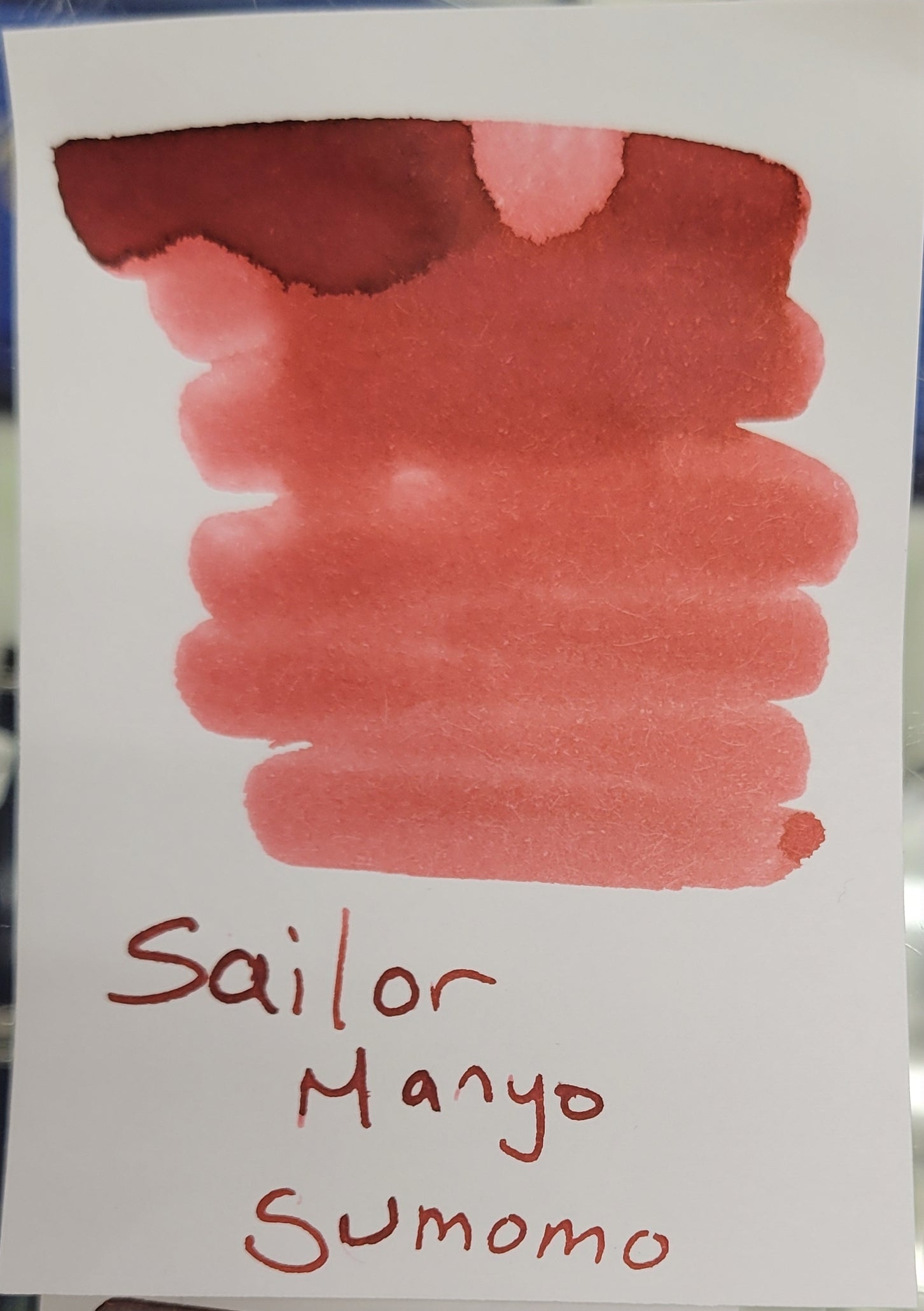 Sailor Manyo Ink Bottle - Sumomo (Cherry Blossom) - 50ml (Overseas Exclusive) - Pen Boutique Ltd