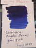 Colorverse Kingdom Ink - Project No. 17 - 30ml - Pen Boutique Ltd