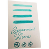 Diamine Shimmer Ink 50 ml Spearmint Diva - Silver shimmer-Pen Boutique Ltd