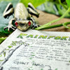 Esterbrook Page Clip - Tree Frog - Pen Boutique Ltd