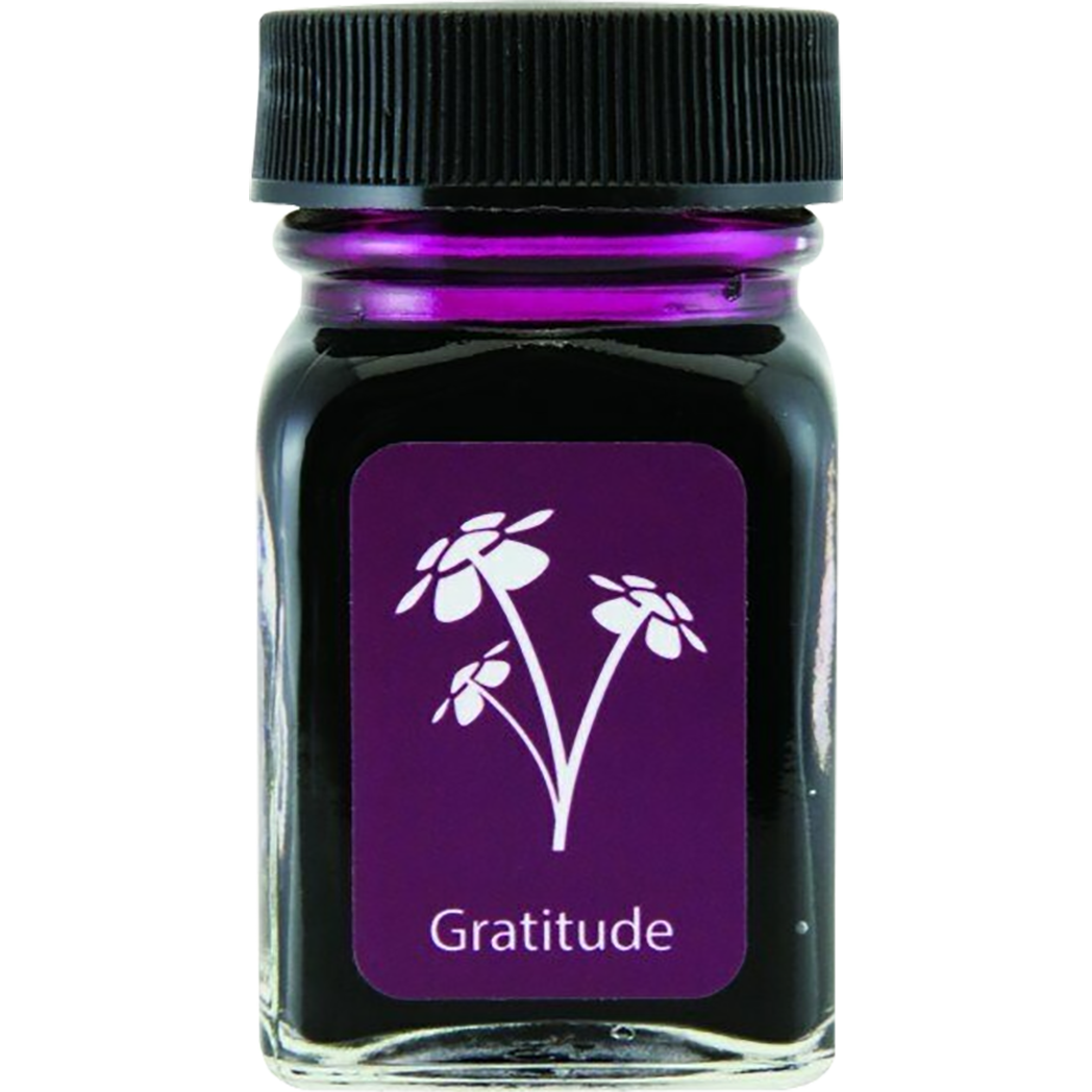 Monteverde USA Emotions Ink Bottle - Gratitude Magenta - 30ml-Pen Boutique Ltd