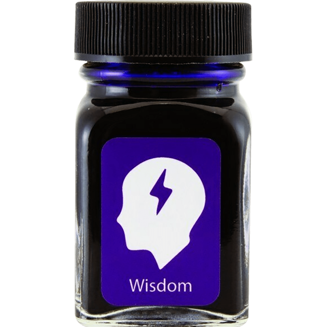 Monteverde USA Emotions Ink Bottle - Wisdom Purple - 30ml - Pen Boutique Ltd