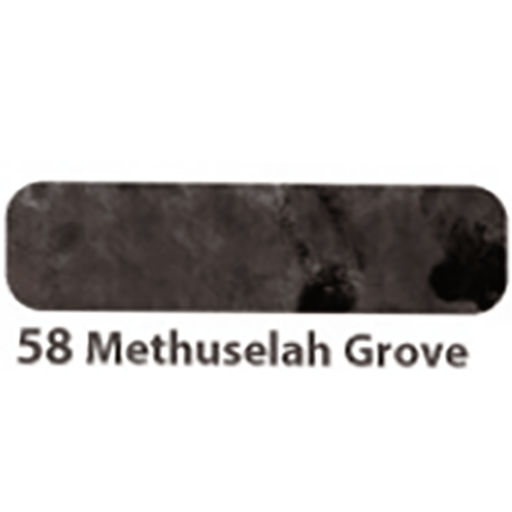 Colorverse Mini Ink - Earth Edition - Methuselah Grove - 5ml - Pen Boutique Ltd