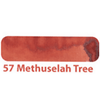 Colorverse Mini Ink - Earth Edition - Methuselah Tree - 5ml - Pen Boutique Ltd