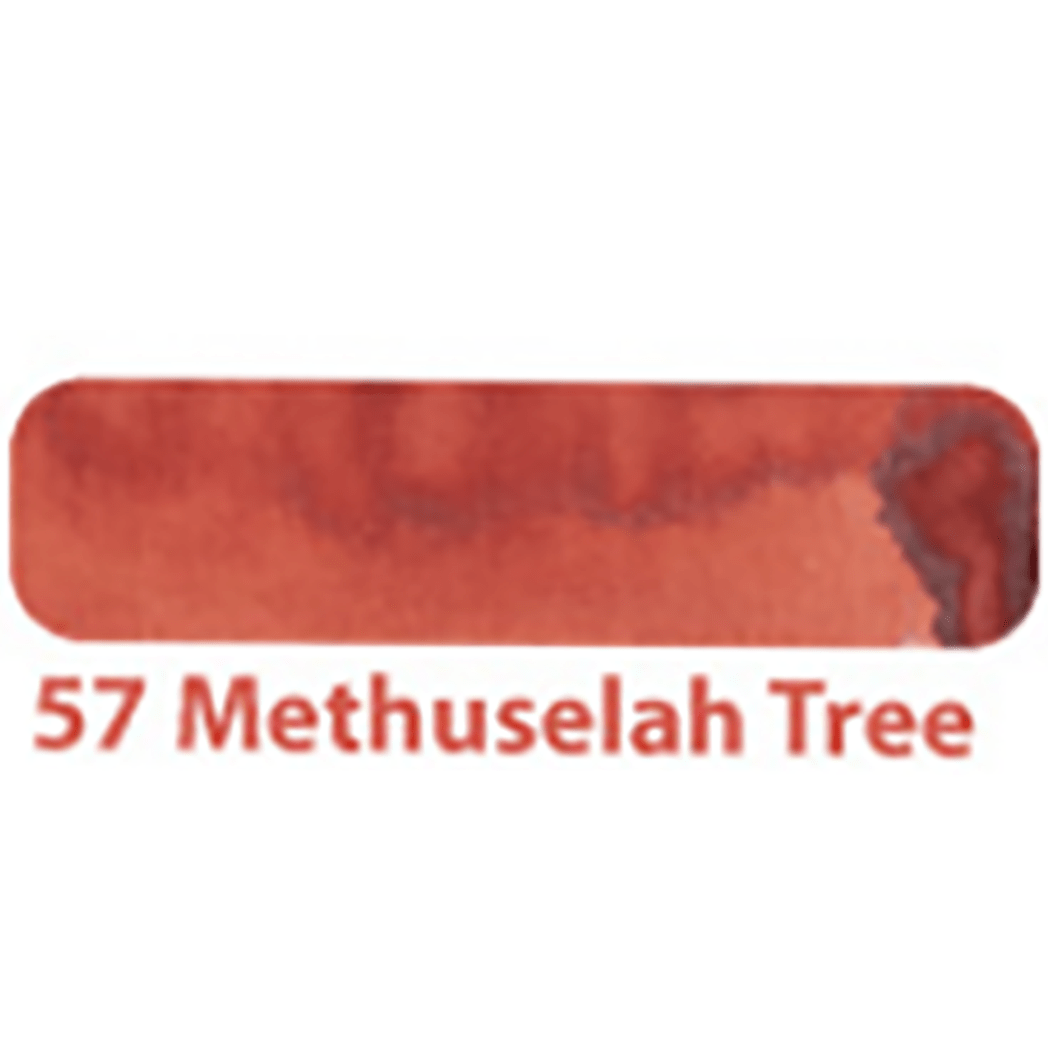 Colorverse Mini Ink - Earth Edition - Methuselah Tree - 5ml - Pen Boutique Ltd