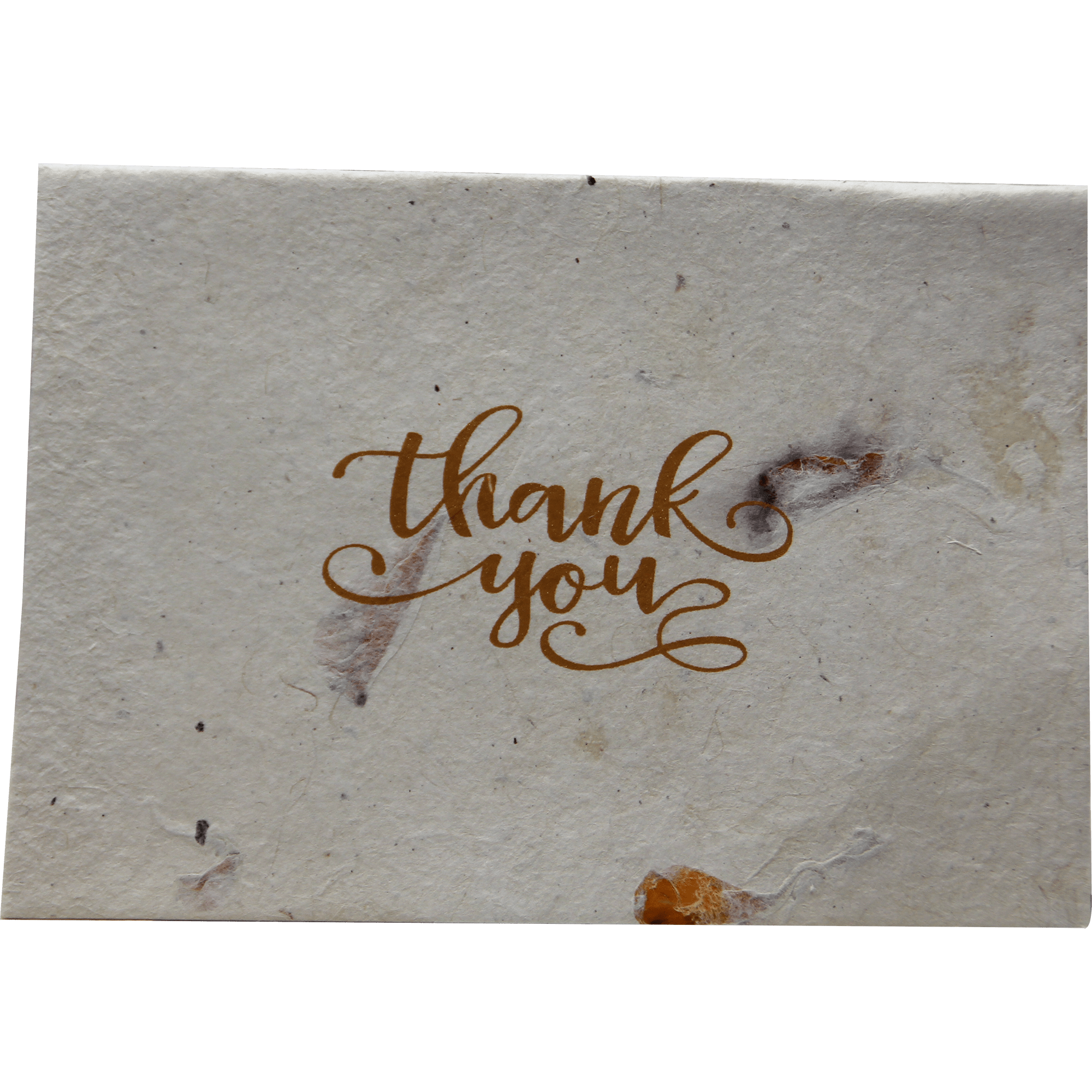 Monk Paper Thank You Note with Hemp design Envelope - pack of 12 - Pen Boutique Ltd