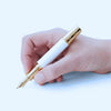 Montblanc Patron of Art Fountain Pen - Limited Edition 4810 - Albert - Pen Boutique Ltd