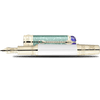 Montblanc Patron of Art Fountain Pen - Limited Edition 4810 - Victoria - Pen Boutique Ltd