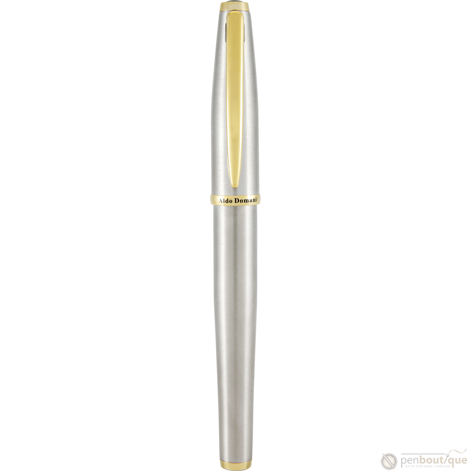 Monteverde Aldo Domani Fountain Pen - Brushed - Pen Boutique Ltd