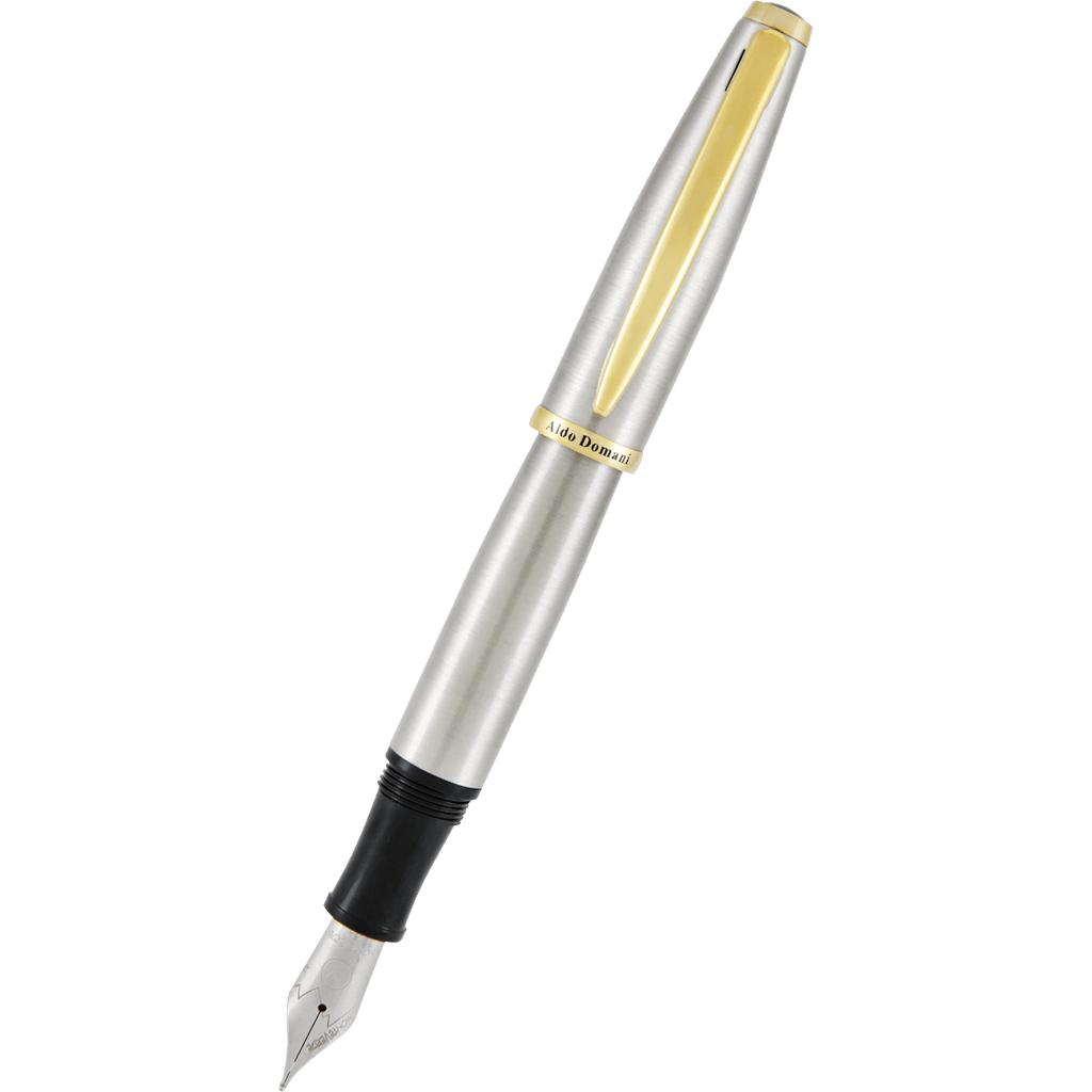 Monteverde Aldo Domani Fountain Pen - Brushed - Pen Boutique Ltd