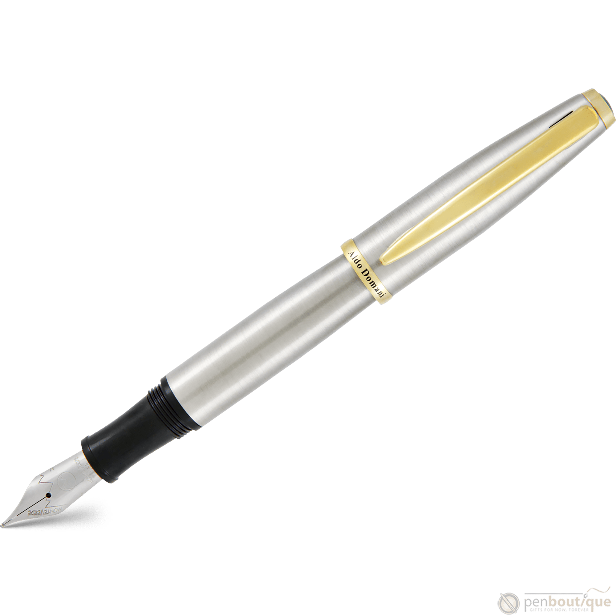 Monteverde Aldo Domani Fountain Pen - Brushed - Pen Boutique Ltd
