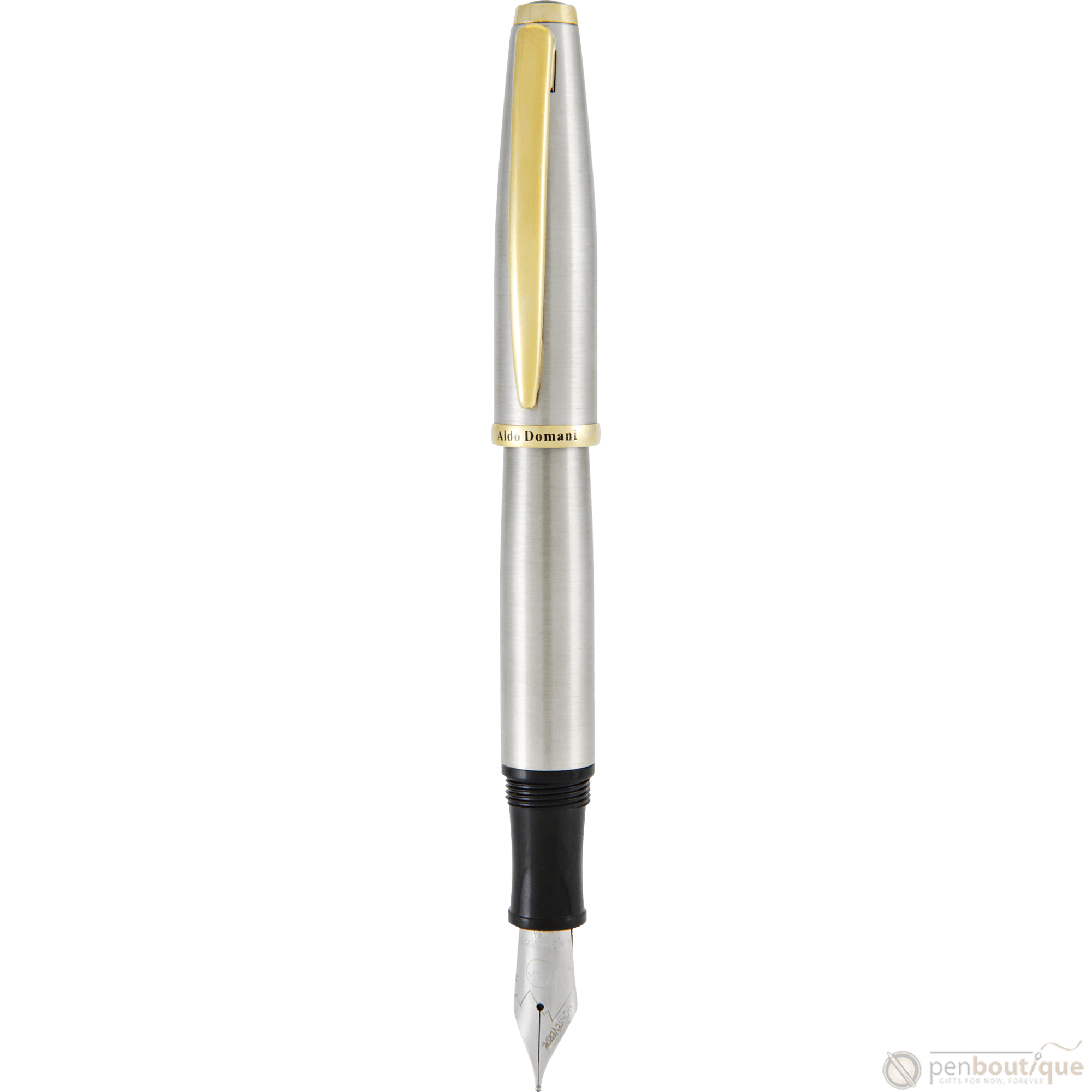 Monteverde Aldo Domani Fountain Pen - Brushed - Pen Boutique Ltd