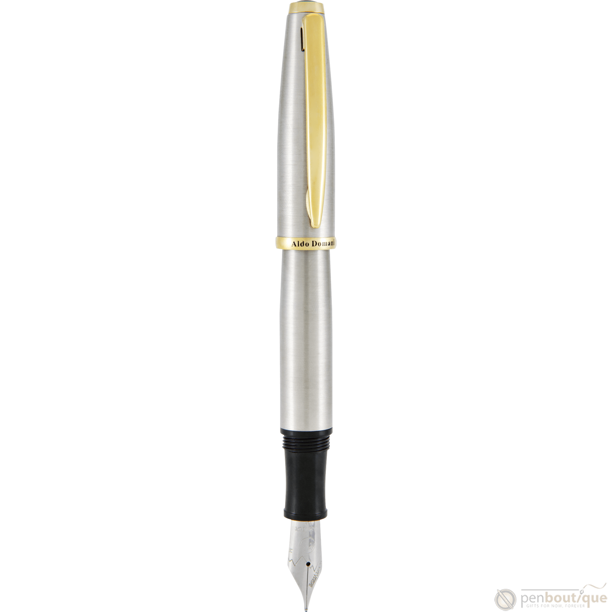 Monteverde Aldo Domani Fountain Pen - Brushed - Pen Boutique Ltd