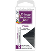 Private Reserve Winter Color Ink Cartridges - Plum (12 per pack) - Pen Boutique Ltd