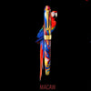 Penlux Masterpiece Delgado Fountain Pen - Macaw - Pen Boutique Ltd