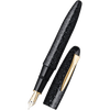 Platinum Izumo Fountain Pen - Raden Galaxy - Limited Edition - Pen Boutique Ltd