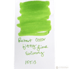 Robert Oster Shake'N'Shimmy Ink Bottle - Fizzy Lime - 50ml - Pen Boutique Ltd