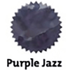 Robert Oster Signature Ink Bottle - Purple Jazz - 50ml - Pen Boutique Ltd