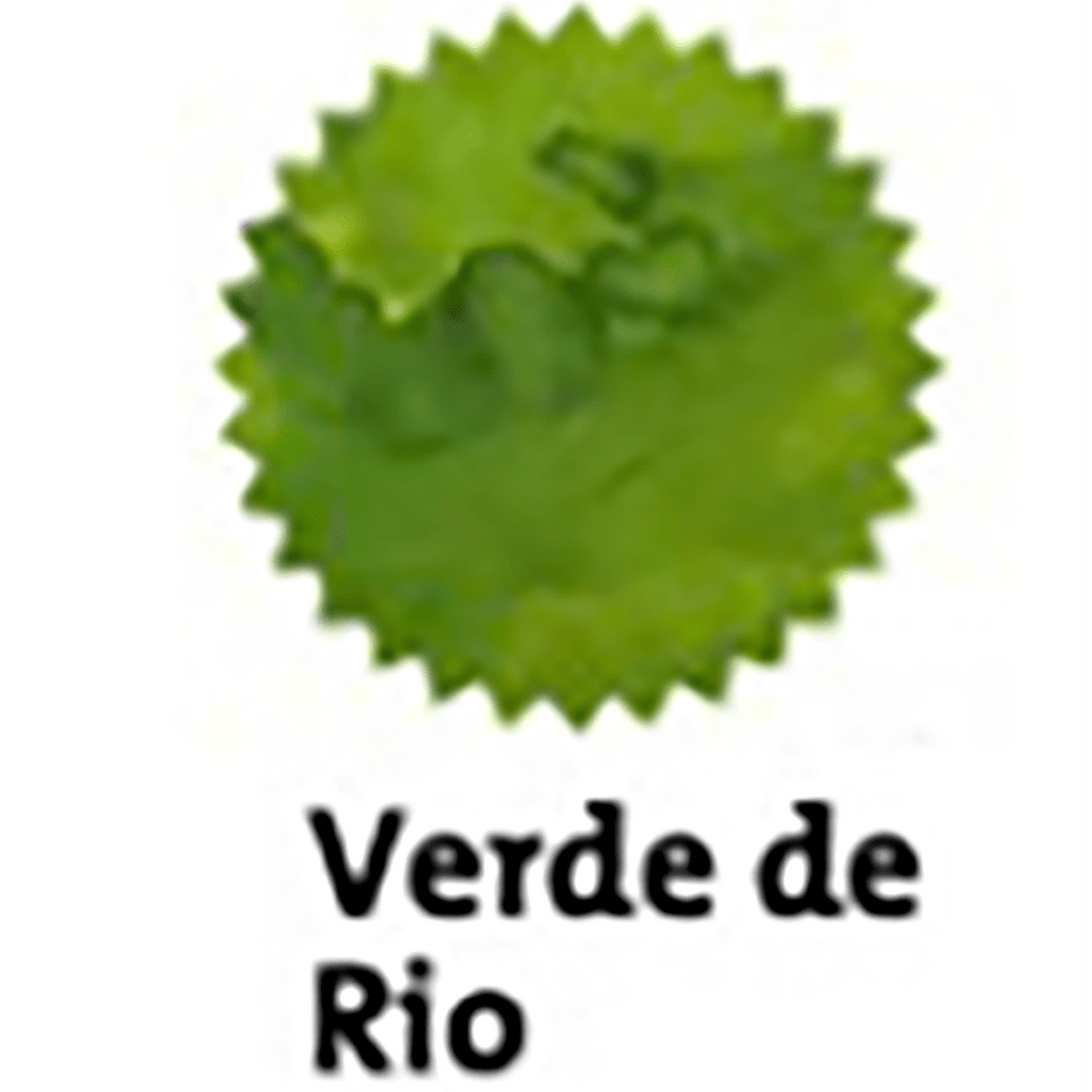 Robert Oster Signature Ink Bottle - Verde de Rio - 50ml - Pen Boutique Ltd