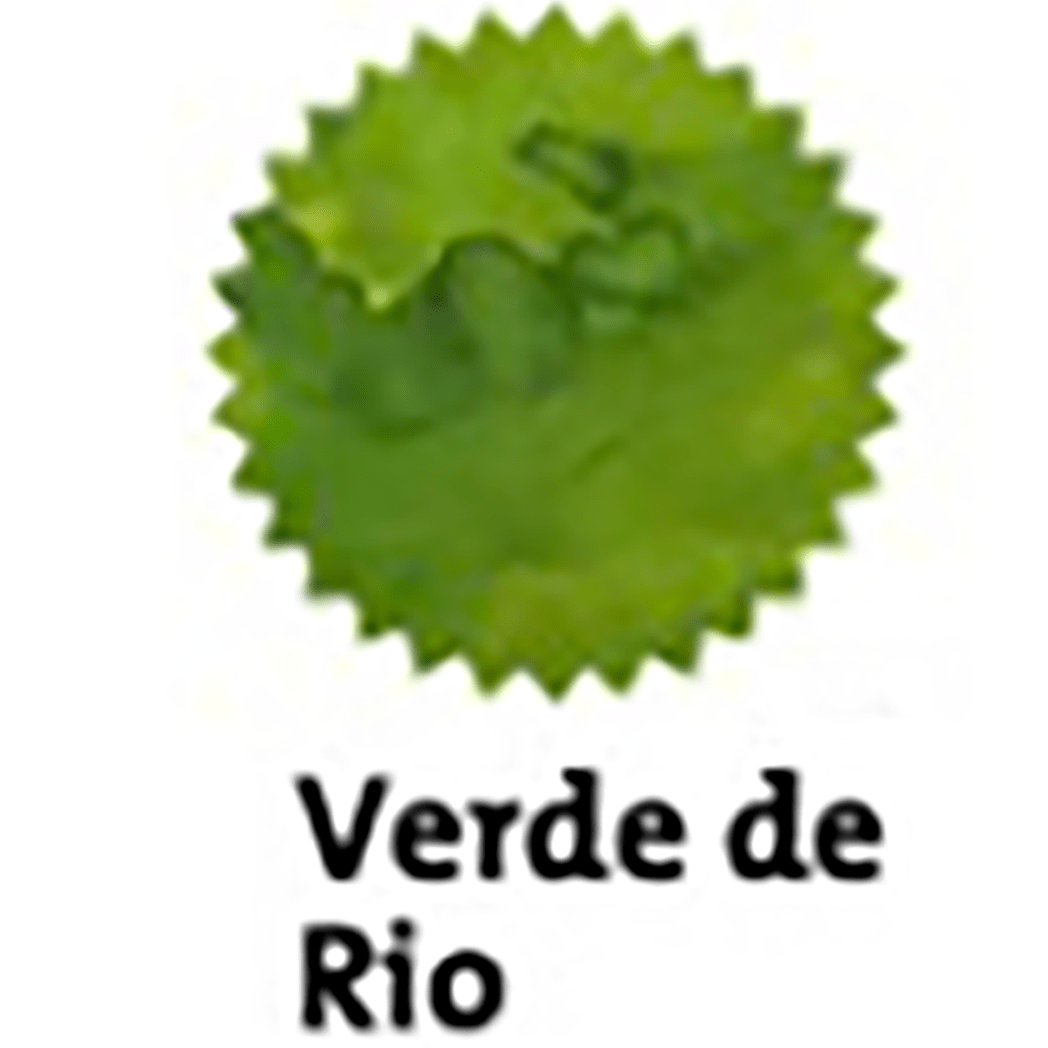 Robert Oster Signature Ink Bottle - Verde de Rio - 50ml - Pen Boutique Ltd