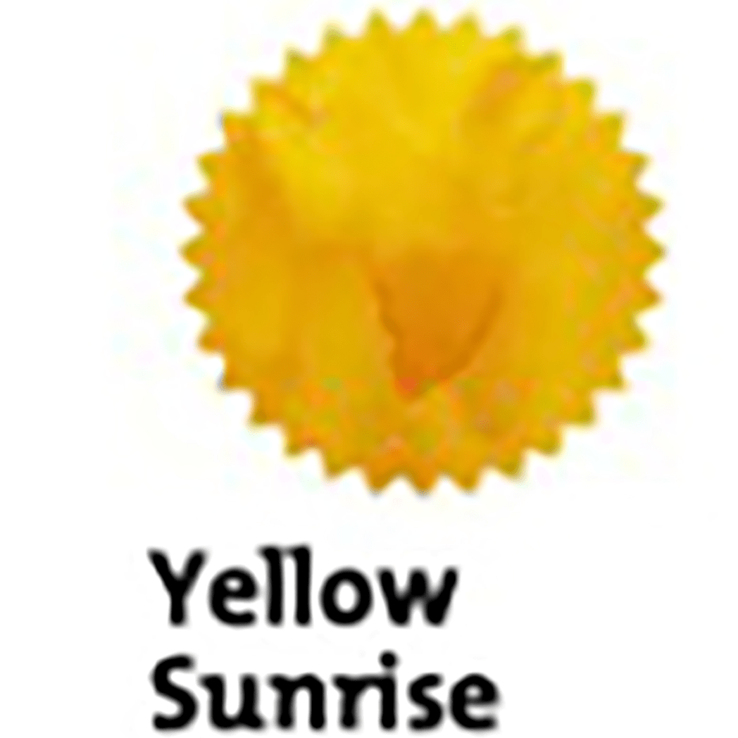 Robert Oster Signature Ink Bottle - Yellow Sunrise - 50ml - Pen Boutique Ltd