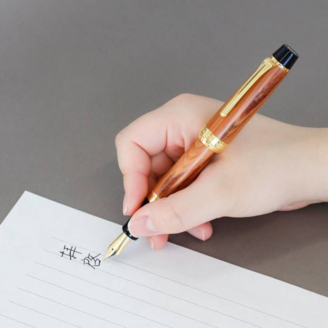 Sailor Fountain Pen - Commemorative - Hiroshima Factory (Bespoke Dealer Special) - Pen Boutique Ltd