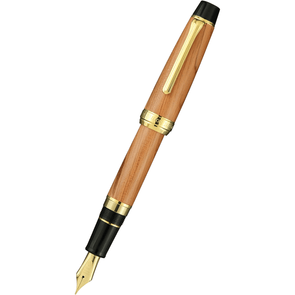 Sailor Fountain Pen - Commemorative - Hiroshima Factory (Bespoke Dealer Special) - Pen Boutique Ltd