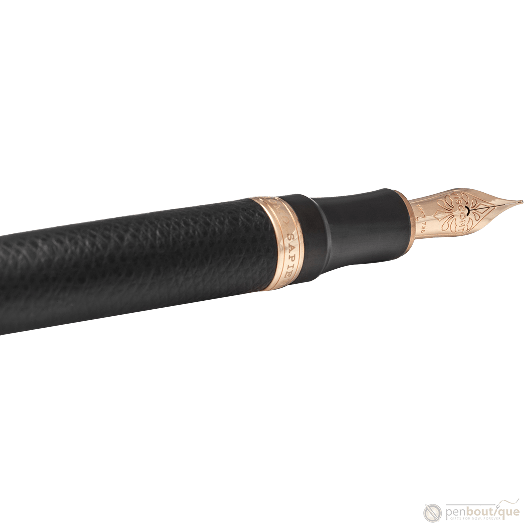 Visconti Homo Sapiens Fountain Pen - Dual Touch - Black (Oversize) - Pen Boutique Ltd