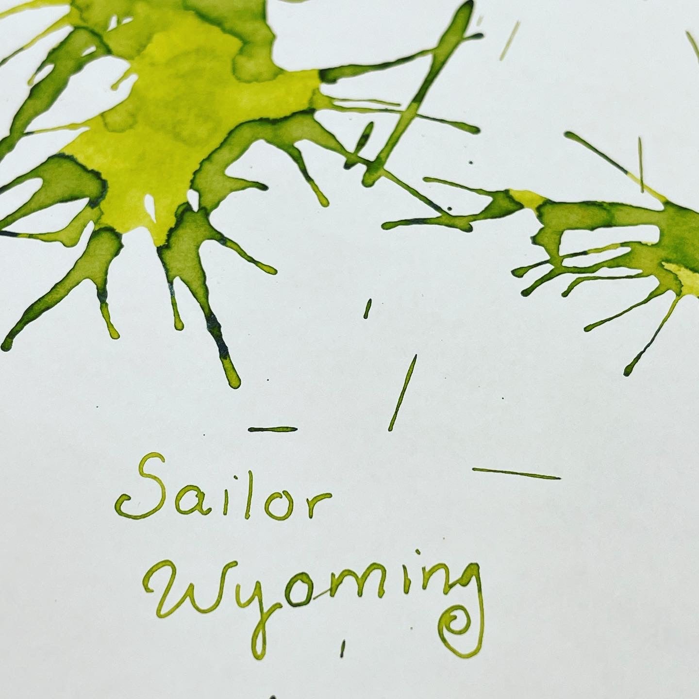 Sailor Bottled Ink - USA State - Wyoming - 20ml - Pen Boutique Ltd