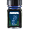 Monteverde Ink Bottle - Jungle Zebra (Blue) - 30 ml - Pen Boutique Ltd