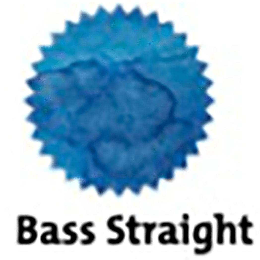 Robert Oster Signature Ink Bottle - Bass Straight - 50ml - Pen Boutique Ltd