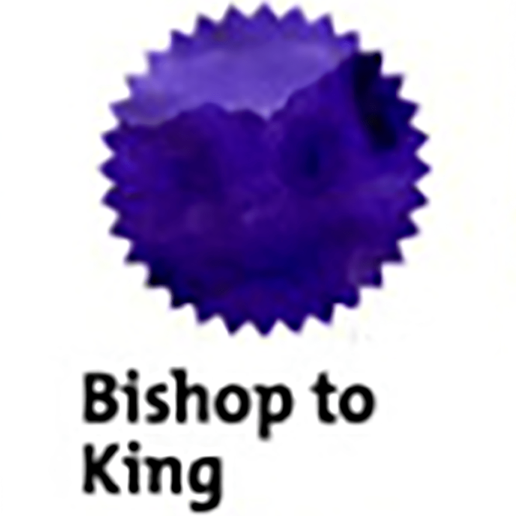 Robert Oster Signature Ink Bottle - Bishop to King - 50ml - Pen Boutique Ltd