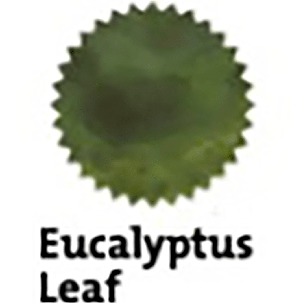 Robert Oster Signature Ink Bottle - Eucalyptus Leaf - 50ml - Pen Boutique Ltd