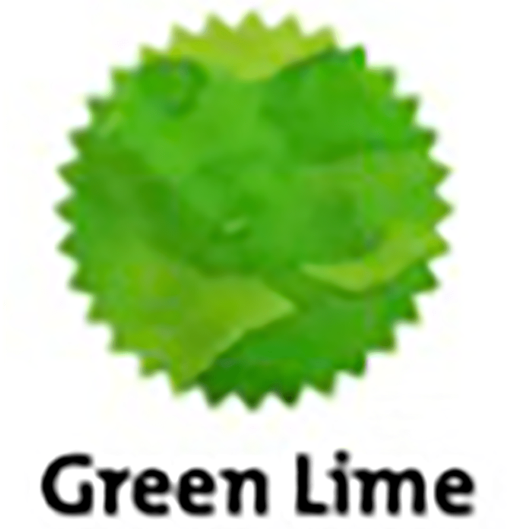 Robert Oster Signature Ink Bottle - Green Lime - 50ml - Pen Boutique Ltd